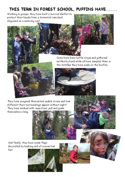 Forest School Newsletter – Puffins